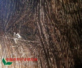 中木商網(wǎng) 一站式木材資訊與交易平臺