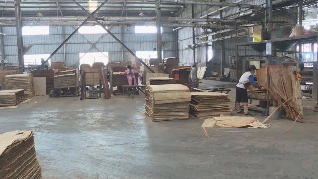 環江 換擋提速，開辟木材加工產業發展新藍圖