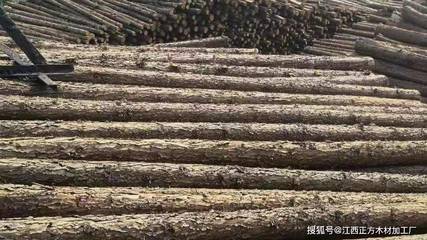 武漢杉木樁市場批發價格參差不齊，透視木材加工環節的“操控者”